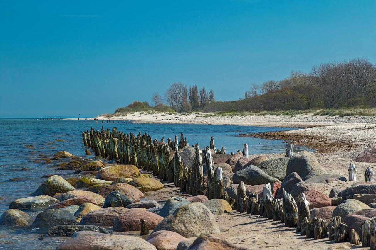 Fewo 1 Wiek auf Rügen المظهر الخارجي الصورة